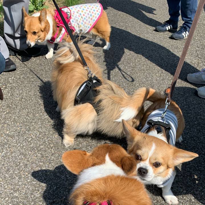 259a08cf 5ccf 4e99 bd7c 87b1e6e19caa 1615090284181