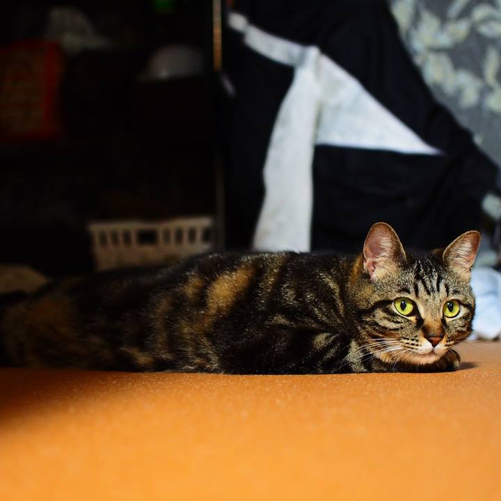 259a3b53 7a03 48a5 ab16 bc34d5b7a71f 1591933593456