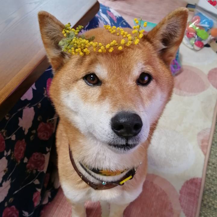 259a58d4 ddeb 4b48 9e82 99031552db41 1615185813960