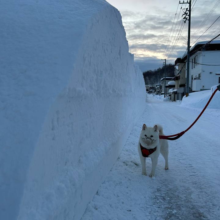 259a5c14 b407 4193 9ef1 b5c7ba872fcc 1769652186609