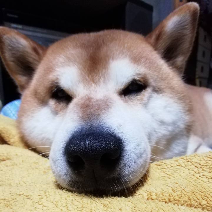 259a7c3f da13 4f05 92b9 be98b7054ce5 1684450862132