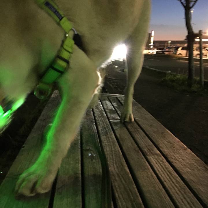 259a9556 ab7e 48d8 bce8 b167c48aec4a 1524313881312