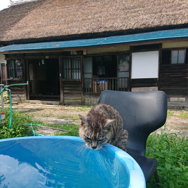 259a9b21 b554 4fc3 8fef a8c067fdd1da 1597471377175