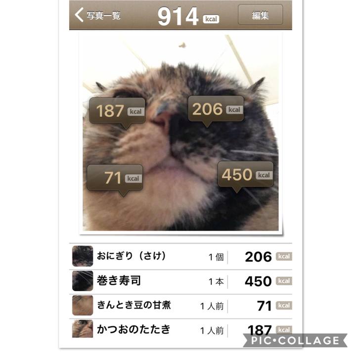 259ab750 c528 4da9 9e5a cd6bb18cfae1 1536422199274