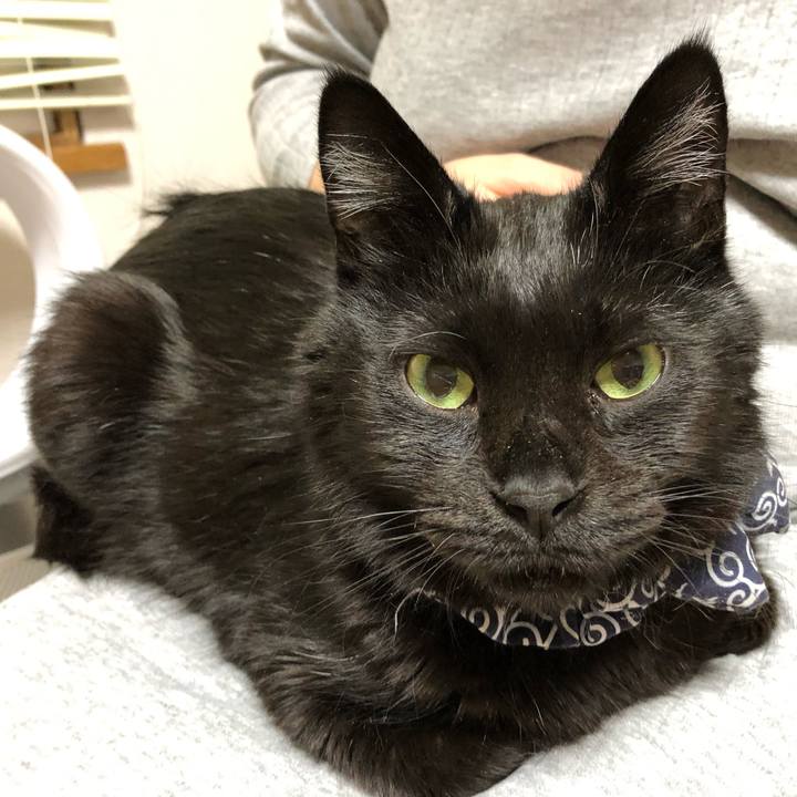 259aba6e 58c6 44d9 82e2 97096e4e666e 1579520925670