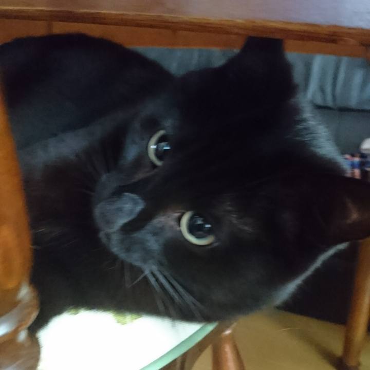 259ad21e 10b5 43ee 8d48 86018306e9ea 1566343580470