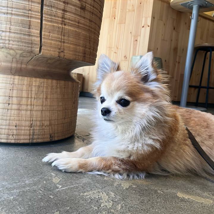 259ad830 7996 449e a382 65ce4c442a77 1771461950050