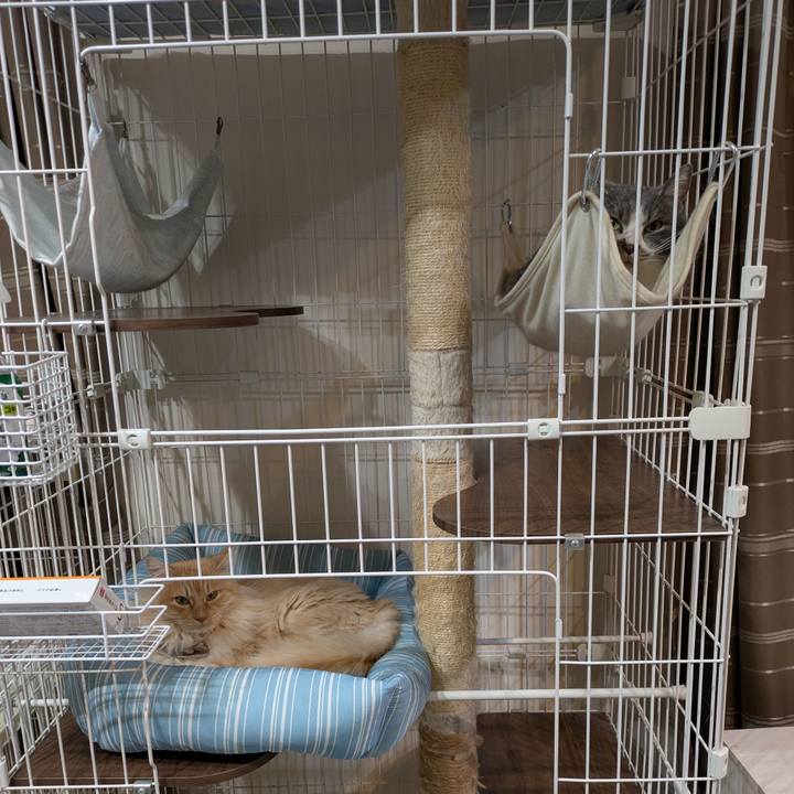 259b3efb a387 4426 8d97 d254de9d27f4 1744975134247