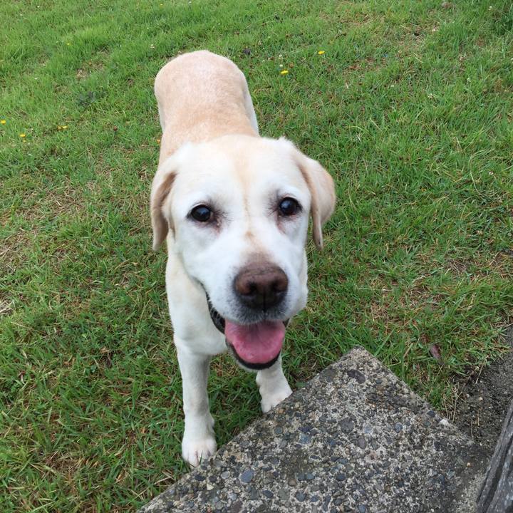 259bab3e b7d9 4c26 8bfd 2b817a8e8e5e 1534795345009