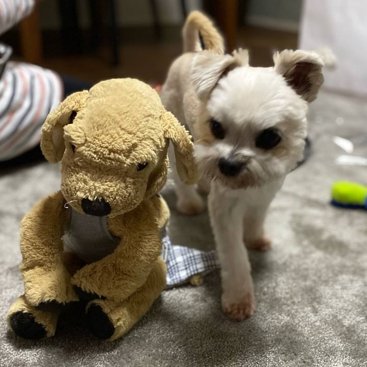 259bafa4 e1ea 4ace b3cb cfae86221a55 1602330764682