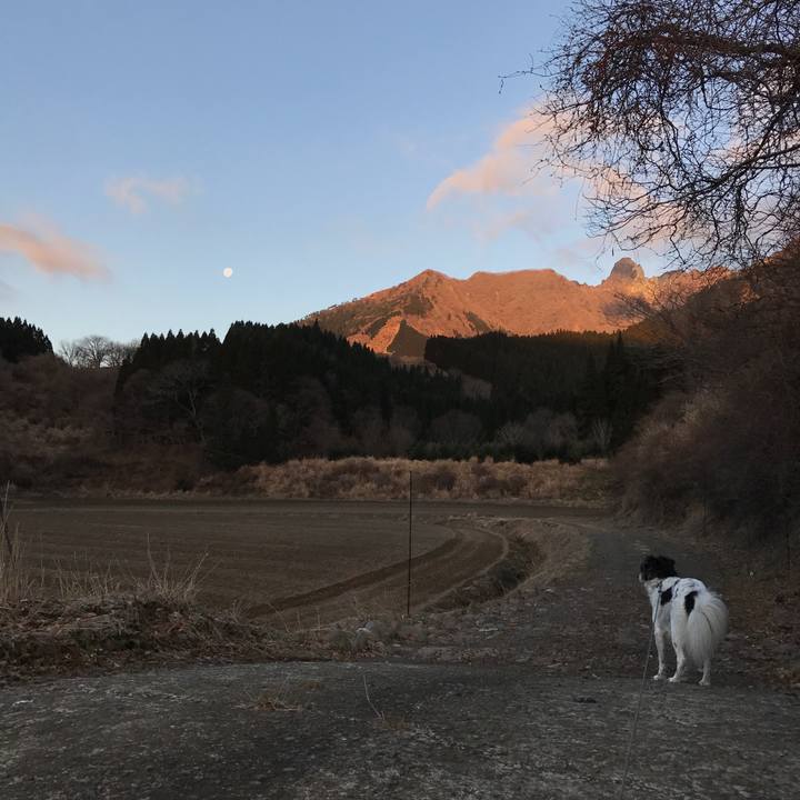 259bd2d4 495a 49b8 b506 7722cea0d3d4 1515024462280