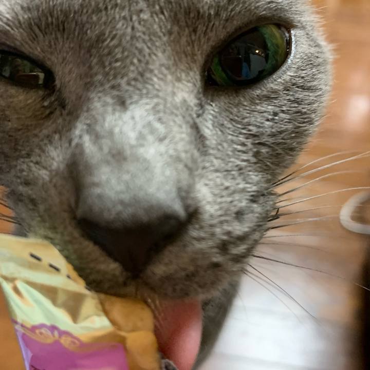 259bfee6 ead1 45a0 8065 012d31e8afeb 1590231589885