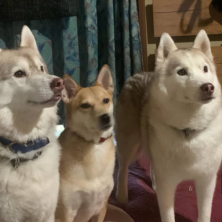 259c2022 19cf 4df7 aa28 123fb6326cbd 1695529682963