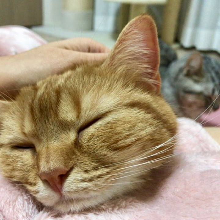 259c2d89 819e 4000 99c3 c001481d5ad7 1521972476502