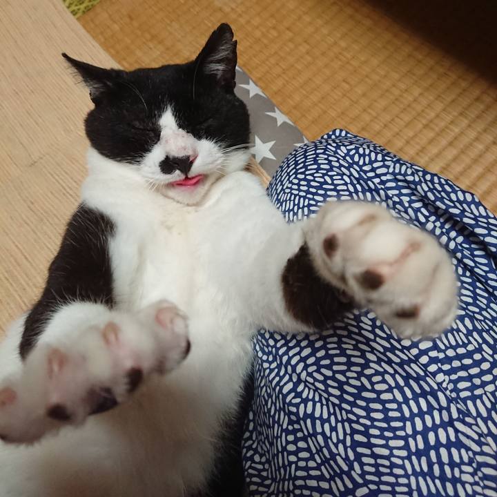 259c4246 ea90 4c10 a46f 86f4a33dfced 1595161655022