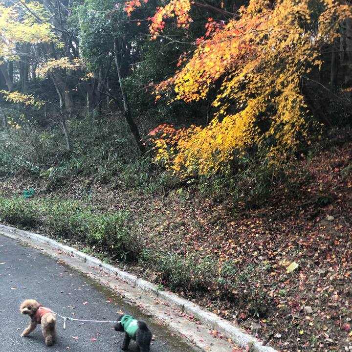 259cec14 7a93 4512 ba25 63f07fd2e689 1608163654147