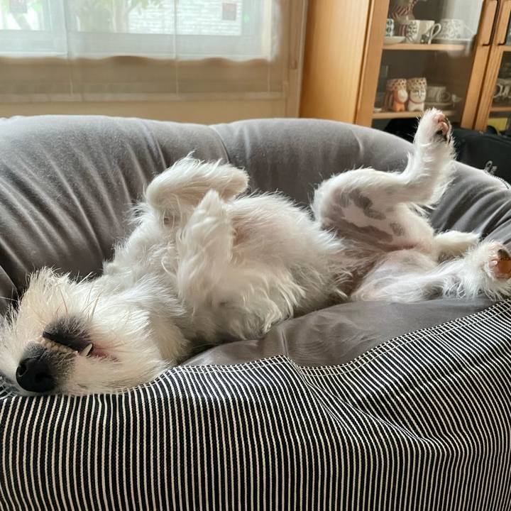 259d11c5 78f1 43ed b592 7b74c195b83f 1652518933719