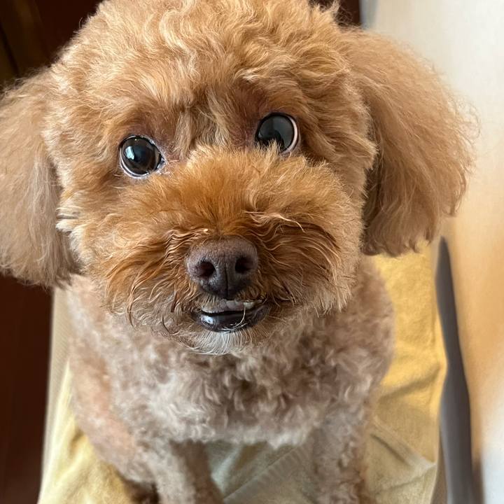 259d30d3 d868 499e 83bf ae9206f03d6c 1657413390244