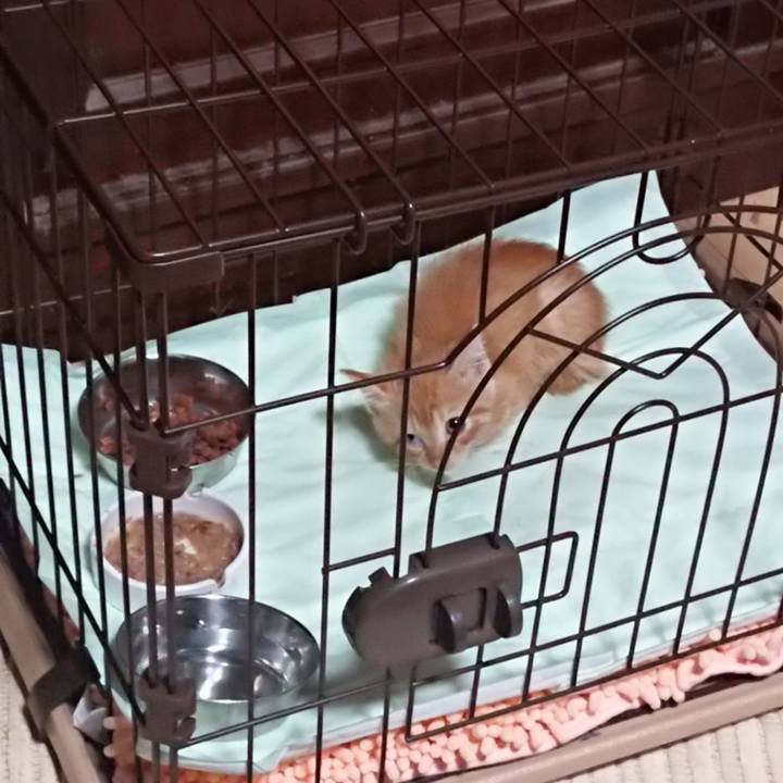 259d5787 962b 48f8 a1b0 7016aeb47825 1627733559044