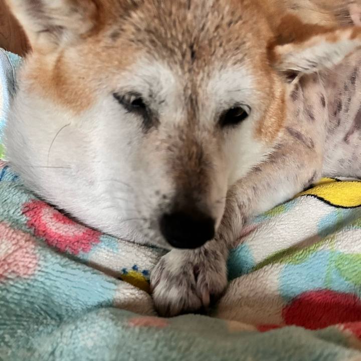 259d6965 45b8 4864 a74f 4e3ee2ab84df 1761444672695