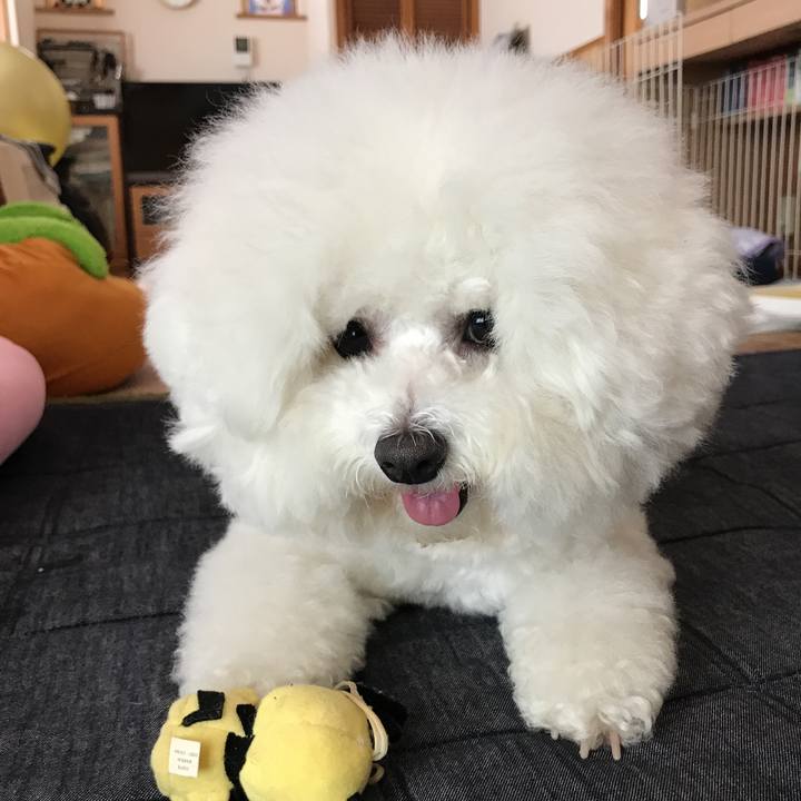 259d8ff3 b907 48ce 9680 7406a1bd8db2 1526868287060