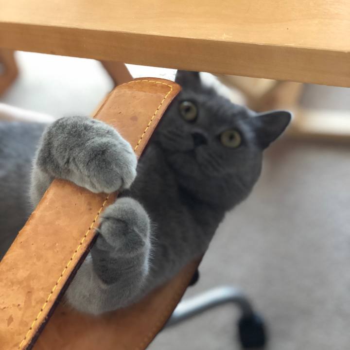 259da6f9 4b33 40dc 8bf1 c760f3adab5f 1533168215996