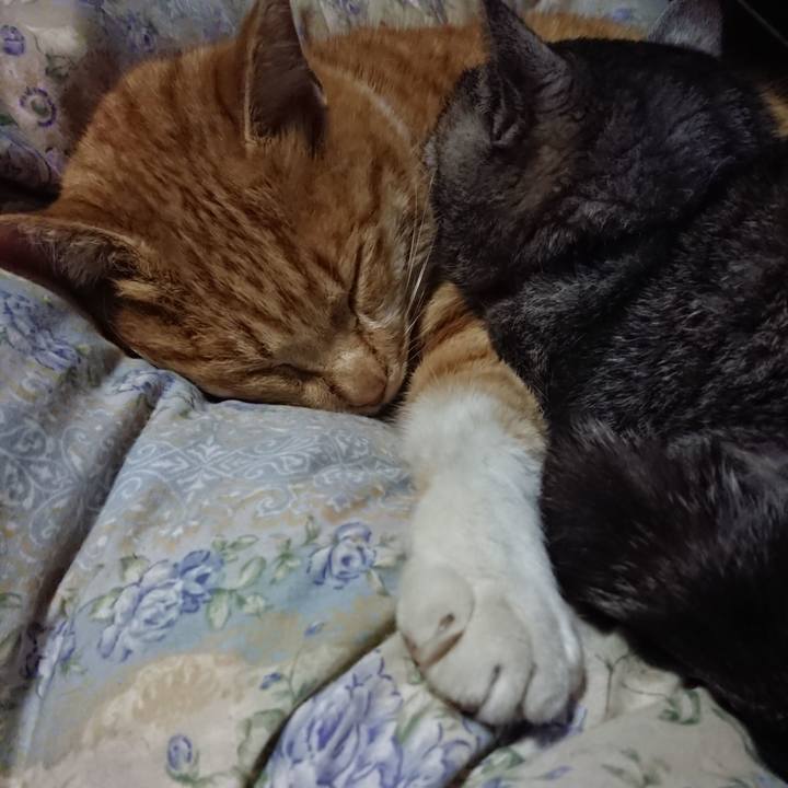 259db5da a4c8 472a a5e0 4d43857e6c82 1579267363991