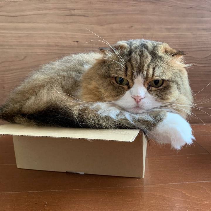 259df5dd 0f76 451b 83eb 27b37f63f473 1594162889975