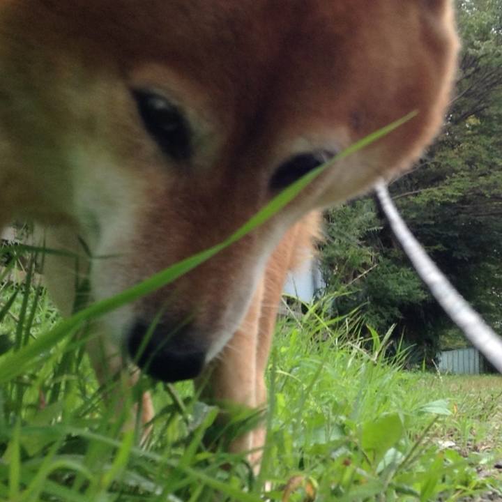 259e3770 7f5c 426b ba43 3cc44f6026d5 1538182719043