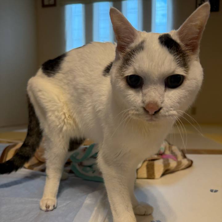 259e3a59 ed28 4024 99eb 7295800448f6 1761609206615