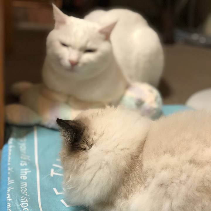 259e41bd 91f0 4cc6 af71 8f91c6748e7c 1636431512542