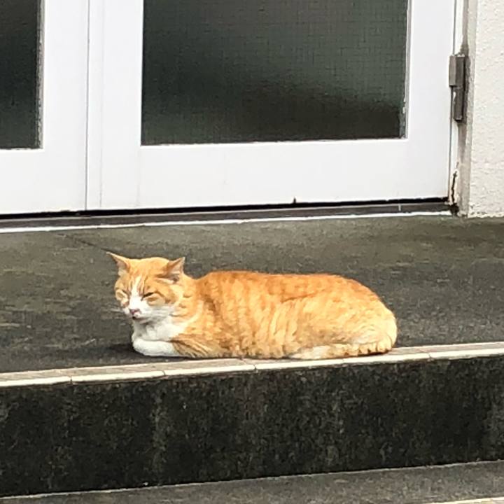 259e850f 24f2 4208 bda3 8c30058b02be 1526890730611