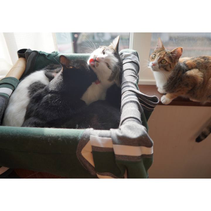 259e8df8 ca29 4d1d 9c6d 9e600684447a 1584956283243