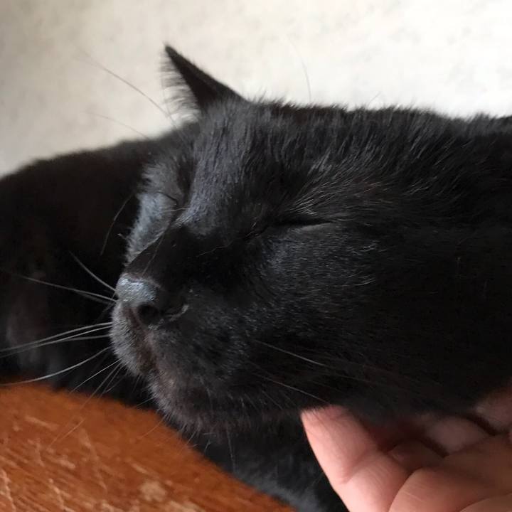 259e953f 771f 42c4 847e 18eb95545862 1526434567244