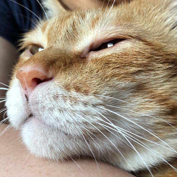 259e9890 feb6 4c84 b4d2 6729ee5649f1 1600723685503