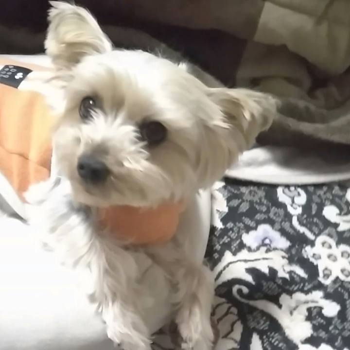 259edad2 16b1 4882 aacd 9cc334e2d422 1705985404917