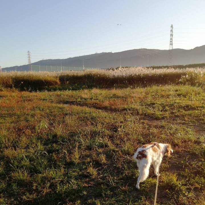 259f488c 74dd 465a b74a 10958f641a39 1573287622242