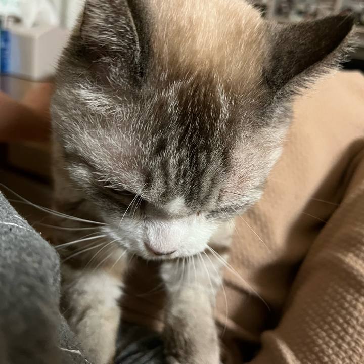 259f59ac 9690 403b a4e7 4a6f75623469 1698565026324