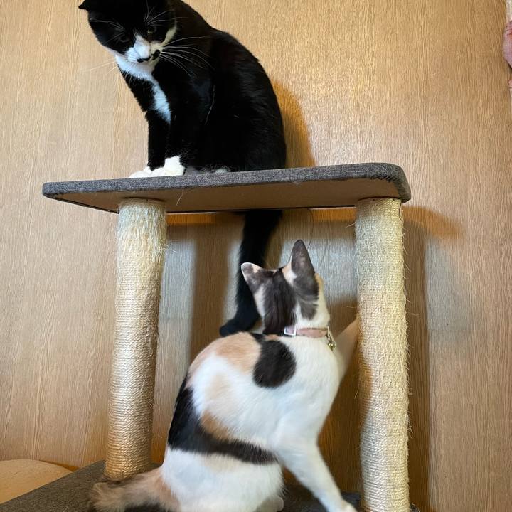 259f8f5f 990f 4188 bce1 24a116bc4c1e 1732931886303