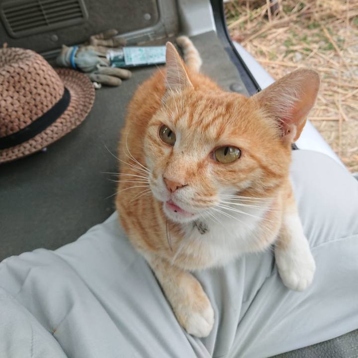 259fad96 3c44 4f01 8a9c 6b9ef3c7c36e 1592817776544