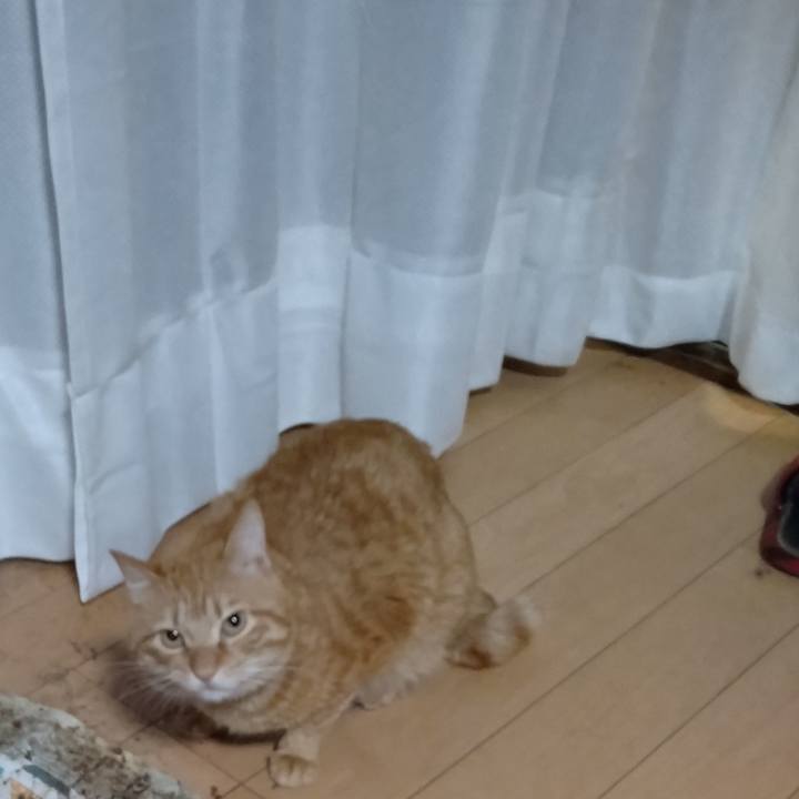 259fb631 2e97 45d6 a441 572ff0b82650 1676759631718