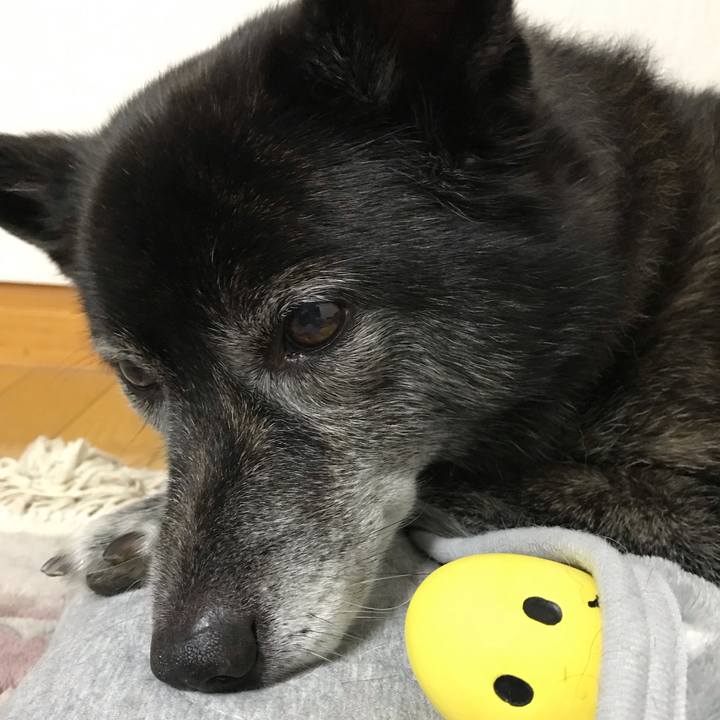 259fd09a e545 4dc2 819f cae13c33b02a 1572614121165