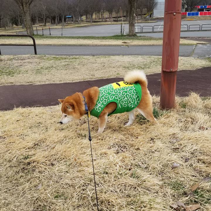 259fe464 5dad 4179 b6d8 b8a1d55254d9 1585273762655