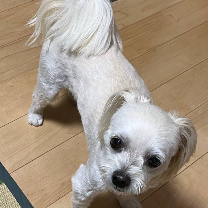 25a01a8c 117f 455e b902 c64402429dd8 1695028708485