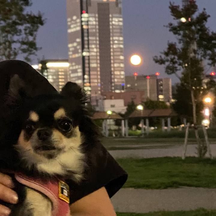 25a03f7c d113 42f8 8bfc 59515896fba1 1601548251497