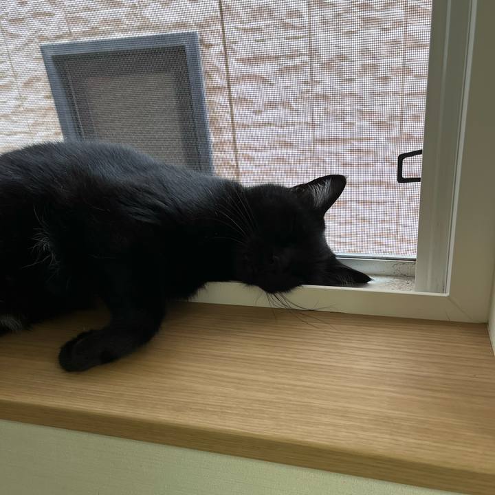 25a0412e 8d11 4340 ad26 b0a52ea8839b 1655865976399