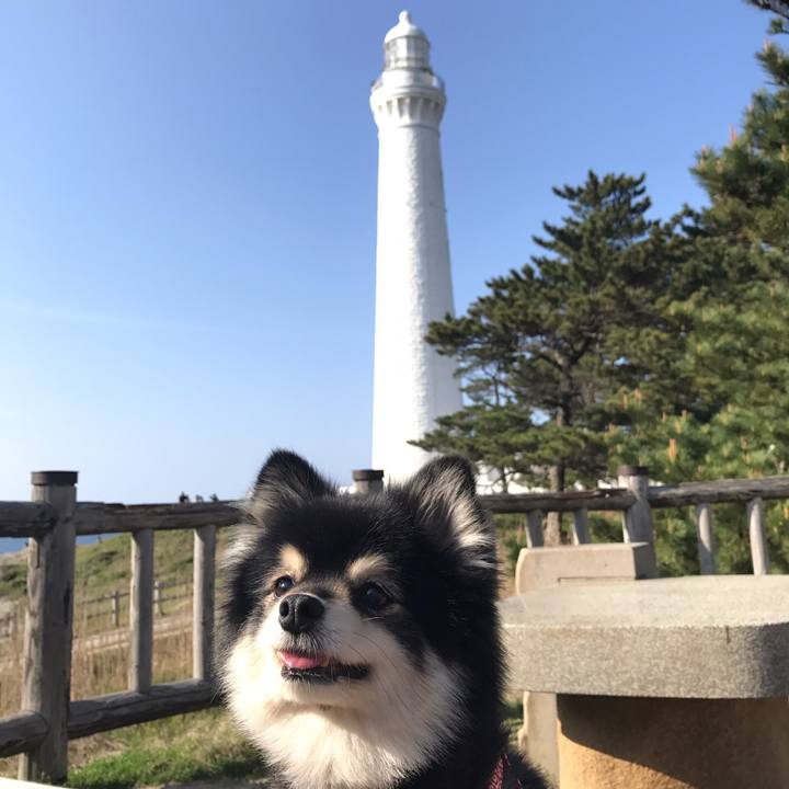 25a04440 fc51 4d0b b971 e0db19144707 1564502740342