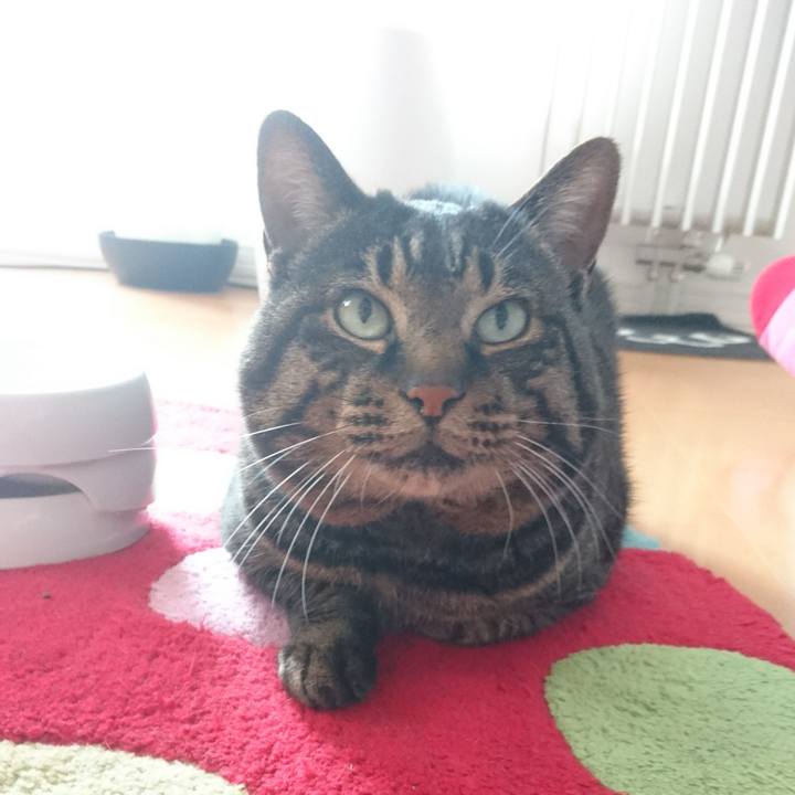 25a04e94 2bed 4b64 8203 e9e937045697 1516072617032