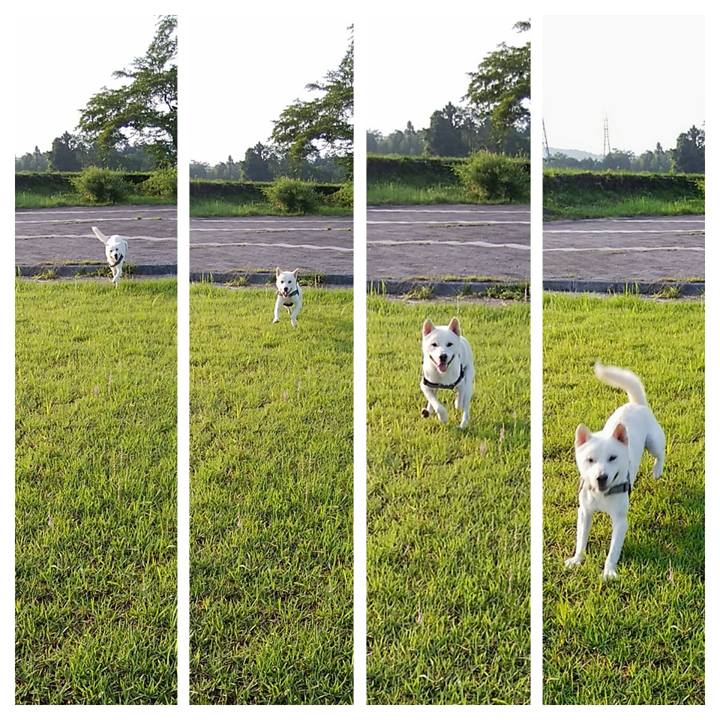 25a054ff 5ff2 4034 8df7 0ebaab264e3f 1531615053457