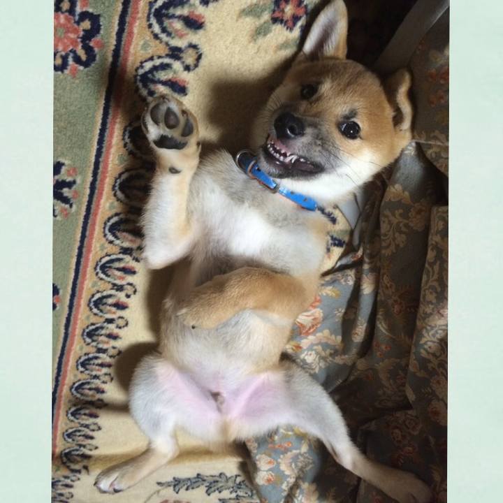 25a0582c 212a 47cb 9438 9b0728570568 1523703429897